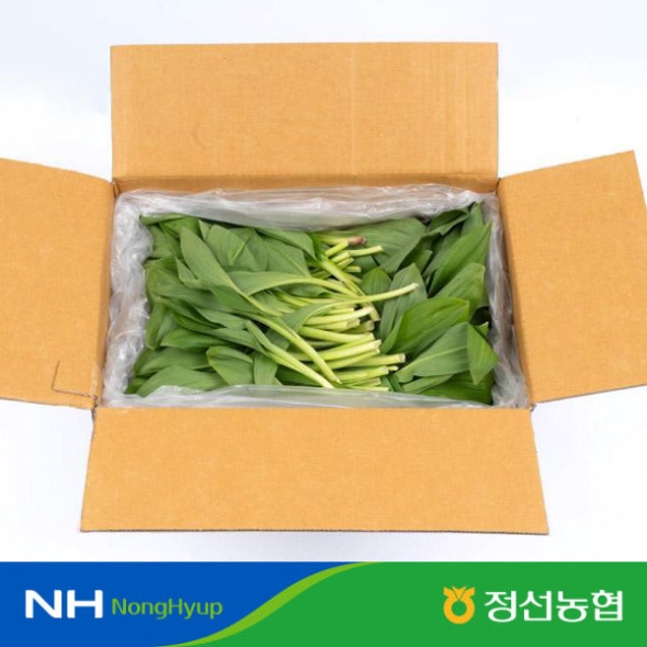 [정선농협] 자연담은 정선 생잎 명이나물 1kg/2kg(특)/당일수확