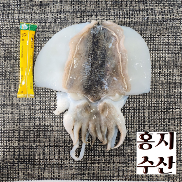 [보름데이] 홍지수산  고흥 나로도 갑오징어 손질 냉동 1마리씩  낱개포장 