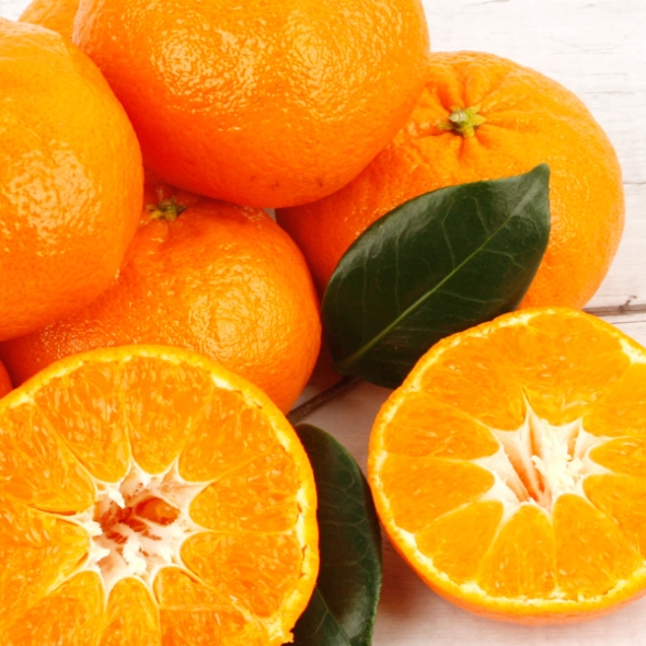 [제주향기] 탐나는 레드향 3kg(10-12과내)  1박스/2박스