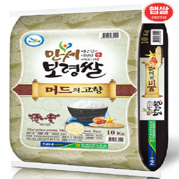 [만세보령농협] 2025년산 머드의고향쌀 10kg 당일도정