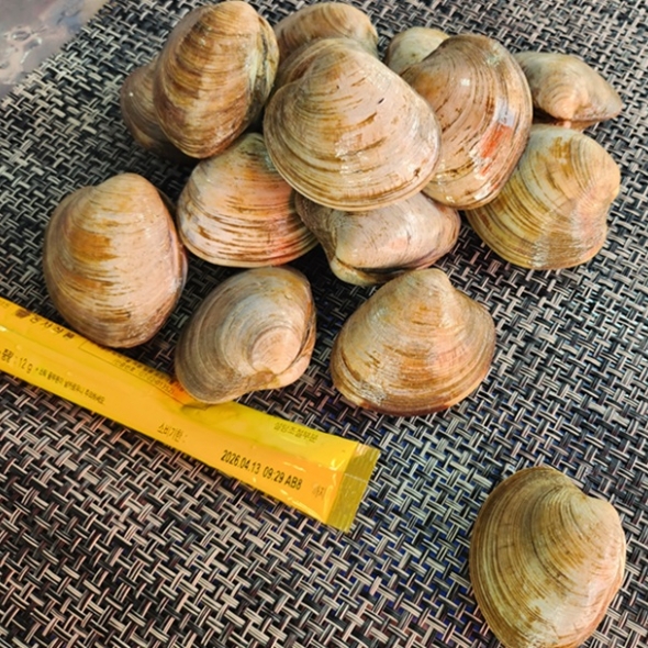 [만원의 행복] 홍지수산 백생합1kg