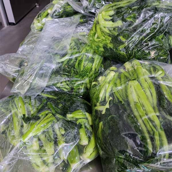 여수 돌산갓(절임/생갓)3kg/5kg/10kg (최)