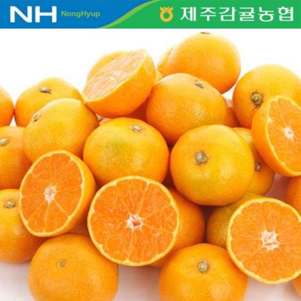 [만원의 행복] [제주감귤농협] 노지감귤 [2.5kg-4.5kg]