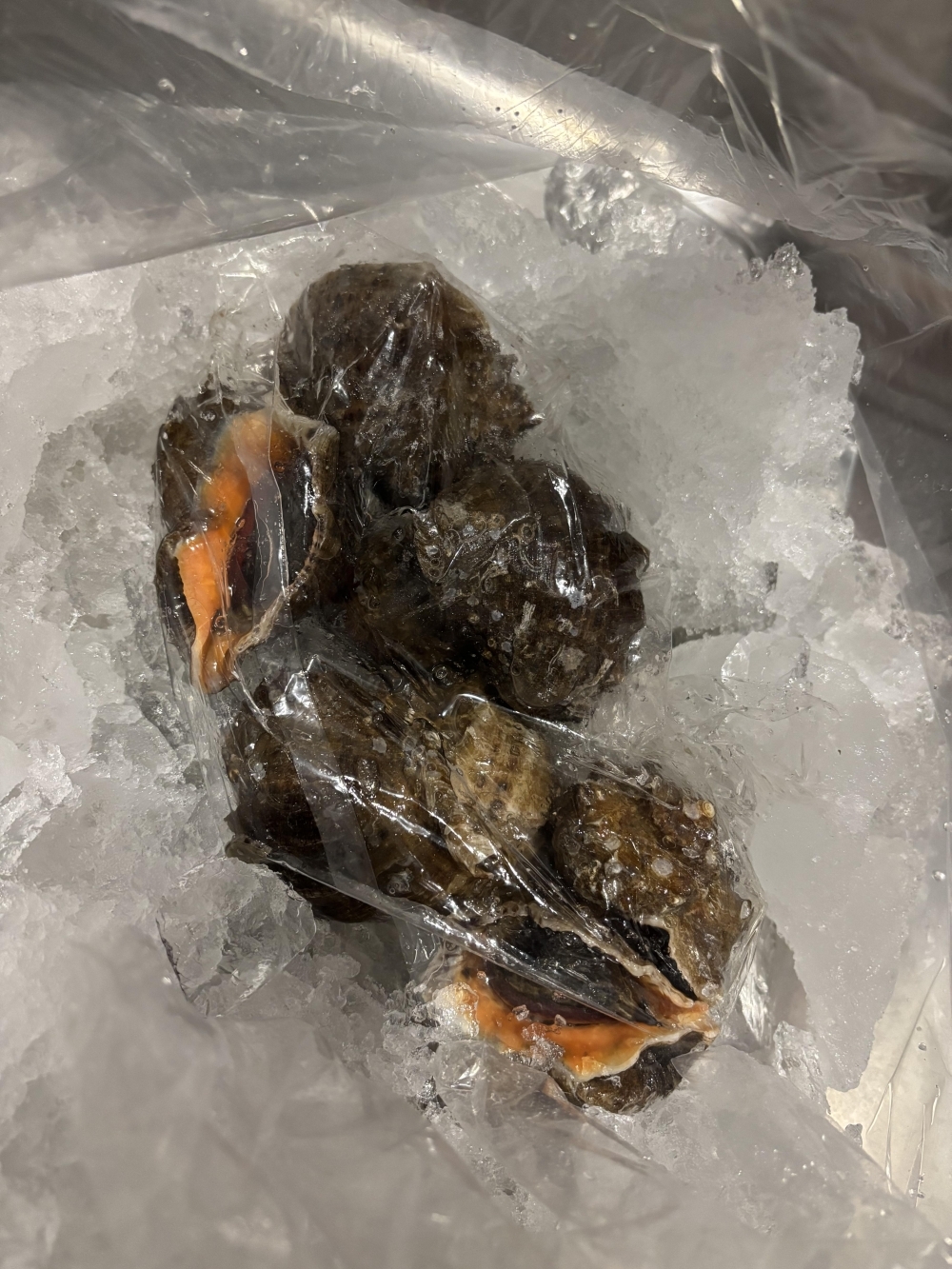 홍지수산 참소라  달달한 인생소라1kg 