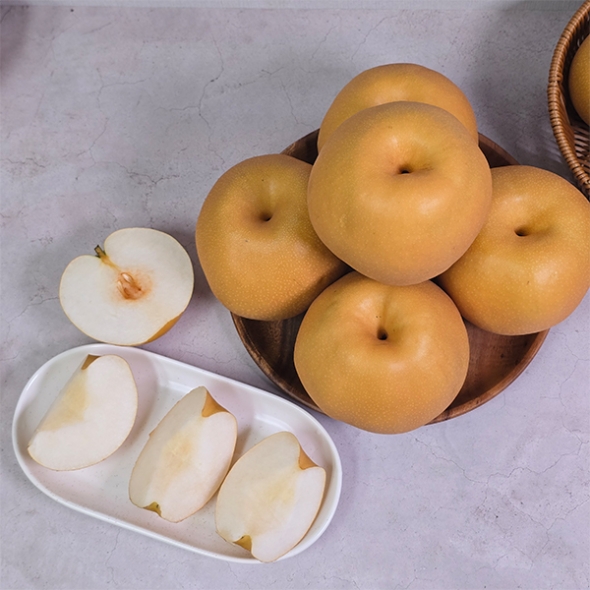 [신한카드 할인] [선물세트] 산지직송  나주배 선물세트