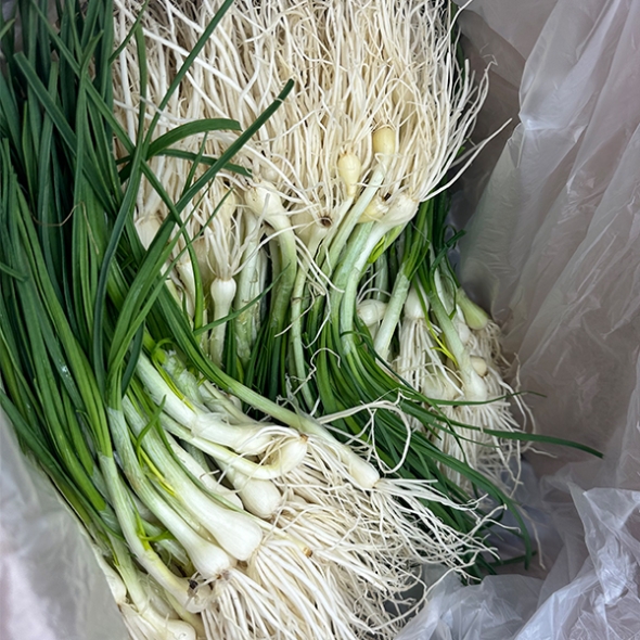 [오커캄스] 향긋 달래 세척 달래 300g 500g 1kg