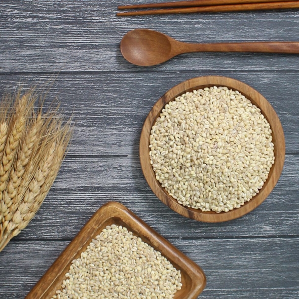 (25년산) 홍성농부의 찰보리 1kg 직접도정