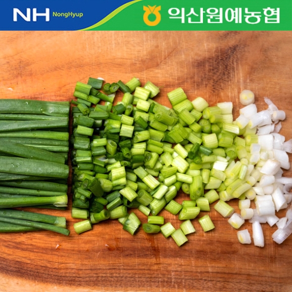 [농협] 한아름드린 신선 흙쪽파 2kg/4kg(특)