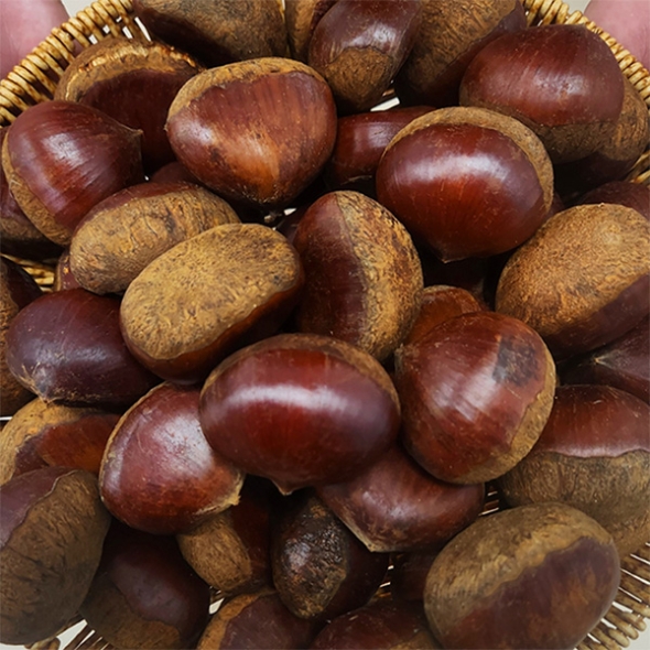 [신한카드 할인] 부여 햇밤(푸)