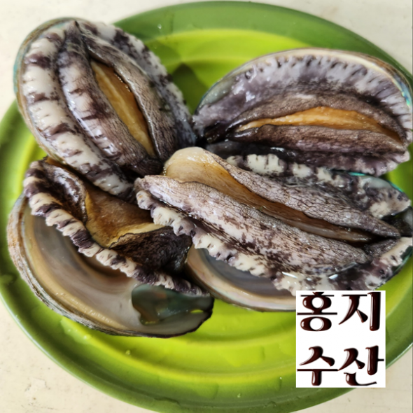  홍지수산 활전복 중사이즈  14-17미 1kg  산소포장 50여가지 합배송