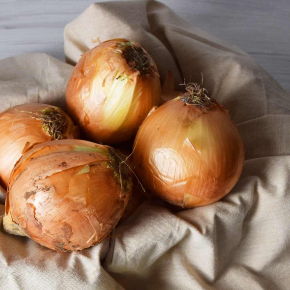 아삭한 식감과 단맛이 강한 국내산 양파 3kg/4kg