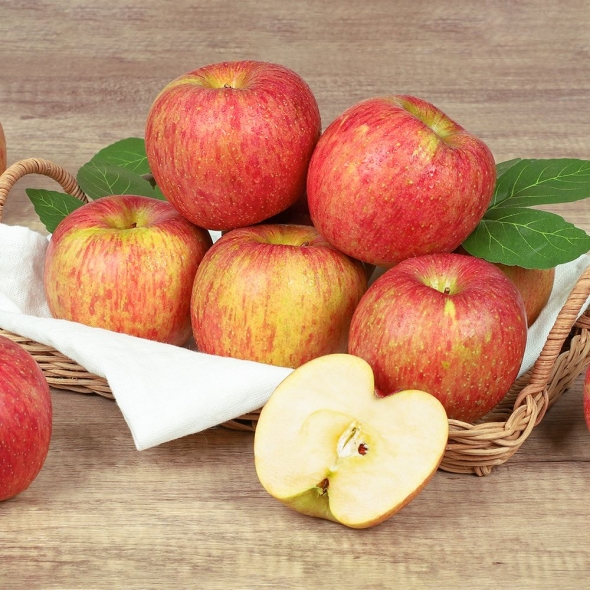 [신한카드 할인] [백억] 아삭아삭 달콤달콤 명품 부사 사과