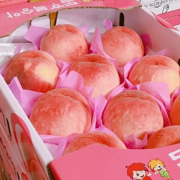 [농협공판장] 정성드린 단단 깐깐한 복숭아 4kg(11-12과내)