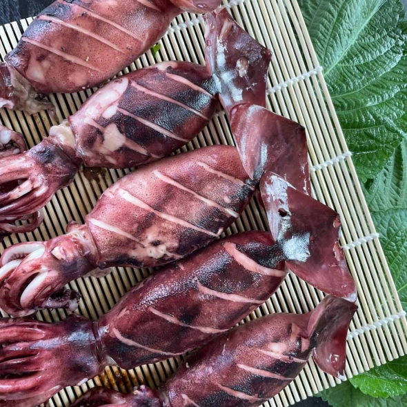 통찜용 오징어 600g6미~7미(최)