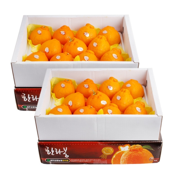 [농협공판장] 정성드린 한라봉세트 3kg(10과내)  1박스/2박스