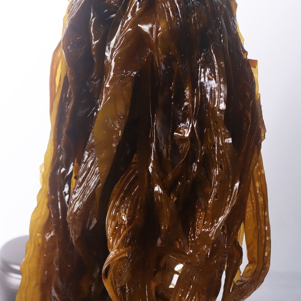 [오커브팜] 구멍 슝 곰피 미역 1kg 2kg 3kg