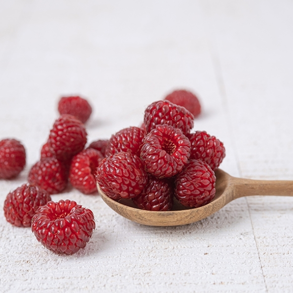  [오커최고] 톡톡 산딸기 생과 산딸기 250g