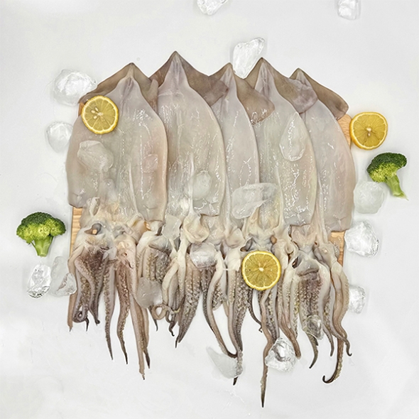 프리미엄 손질오징어(푸)