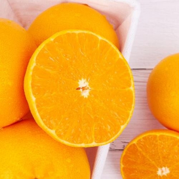 제주산 천혜향 1kg/2.5kg/4.5kg 가정용 선물용