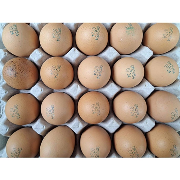 [보름데이]  [만원의행복]평창양계 生生우리알 왕란30알 착한마음 아저씨쌀집