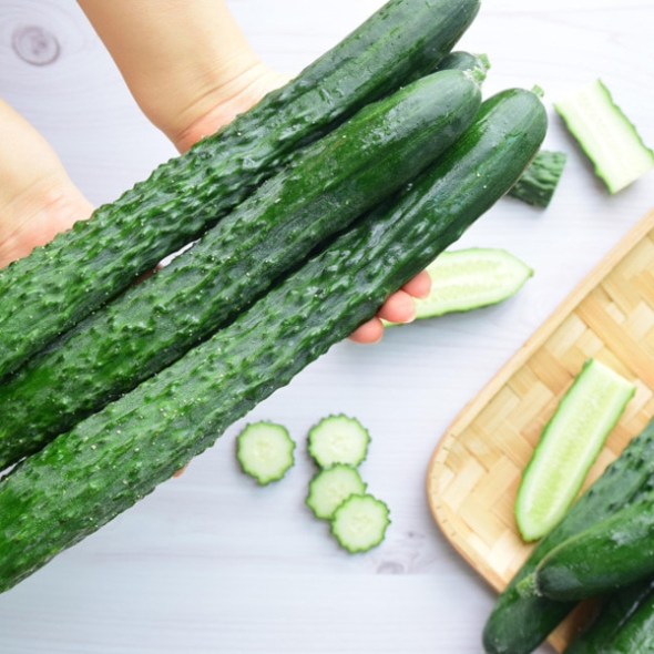 [농협] 한아름드린 신선 취청오이 2/3/5/10kg(1kg당4-5개내)