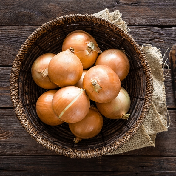 [부엌애] 25년 햇양파 부안 해풍양파 장아찌용 양파 2.5kg~10kg