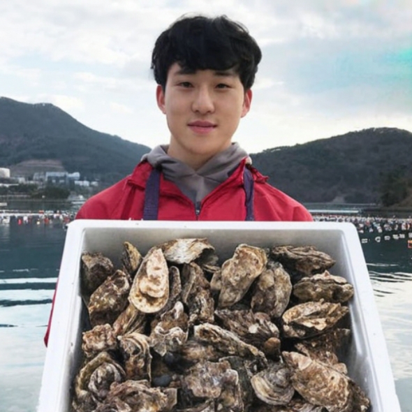 [신한카드 할인] 산지직송 통영굴 삼배체굴 석화 하프셀 생굴 손질 바위굴 벚굴