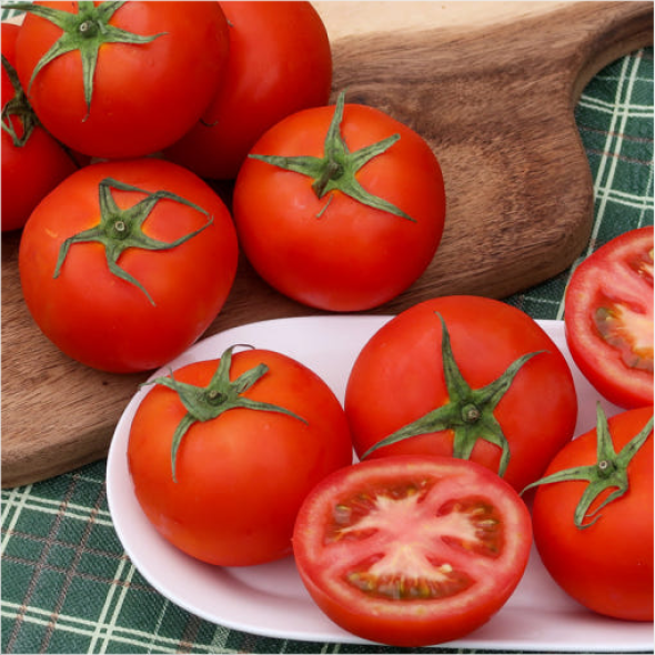 [만원의 행복] [토마디어] 찰진 완숙토마토 1kg 2kg 3kg 5kg 빨간 토마토