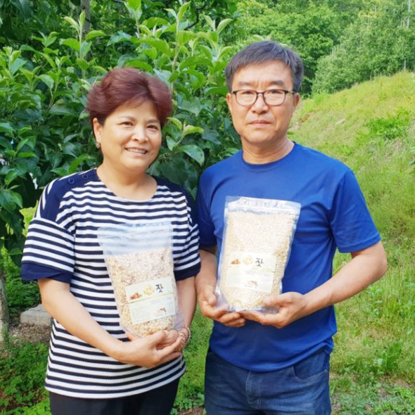 [25년산] 강원도 영월 유기농 잣 선물세트 500g / 600g / 1kg