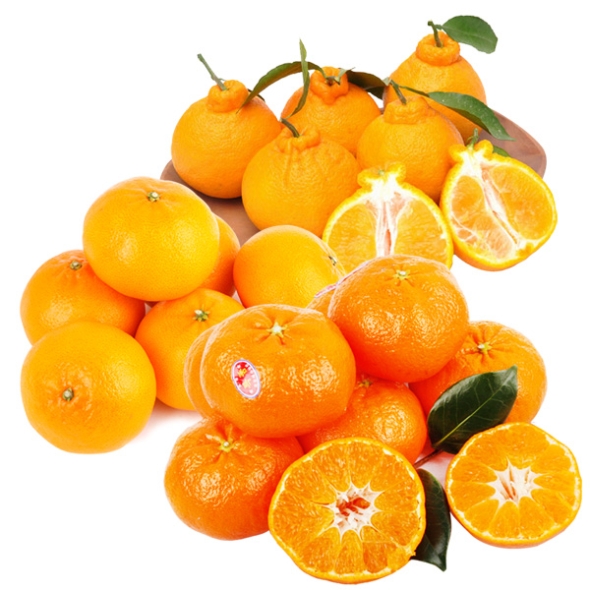 [명절특선] [농협] 한아름드린 제주 만감(한라봉/천혜향/레드향) 상품전