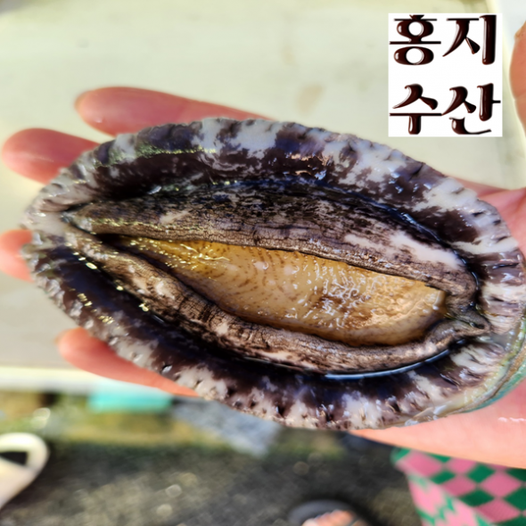 홍지수산 7-9미 대사이즈 활전복 산소포장 1kg 50여가지 합배송