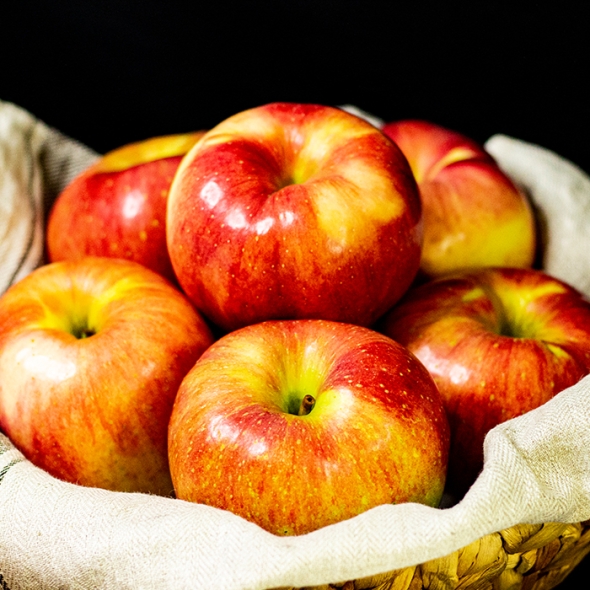 [명절브팜] 한상 사과 선물세트 5kg