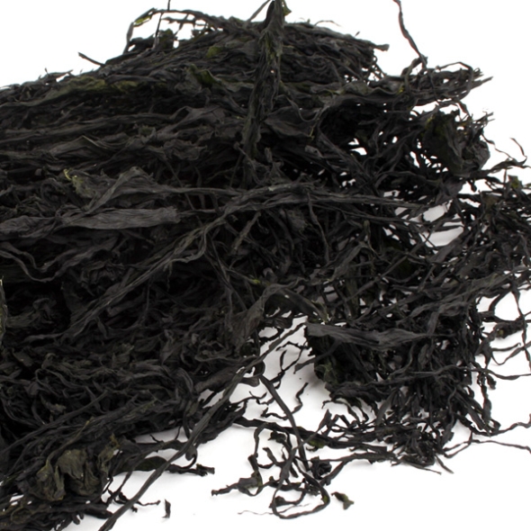 [완도금일수협] 냉풍미역 50gx2봉/3봉/5봉/10봉