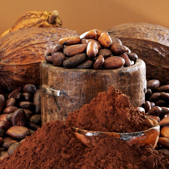  코코아 파우더 100% (총 500g)