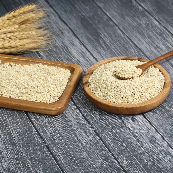 (25년산) 홍성농부의 찰보리 1kg 직접도정