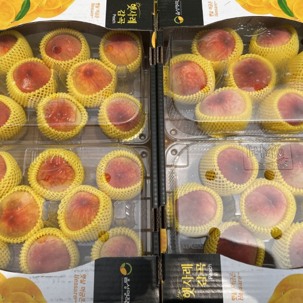 [오커늘푸] 황도 백도 햇사레 털복숭아 2kg 4kg
