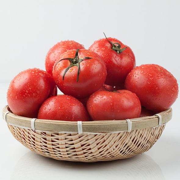 [만원의 행복] [토마최고] 완숙 토마토 레드푸드 달콤한 토마토 쥬스용 1~4번과 택