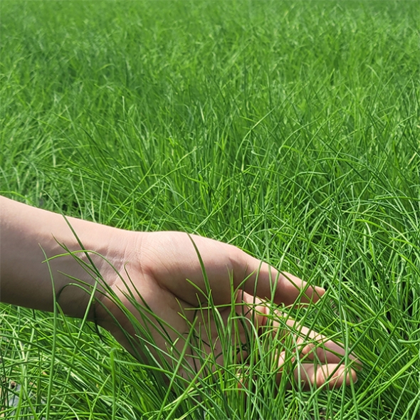 30년 전통  부추김치(푸)