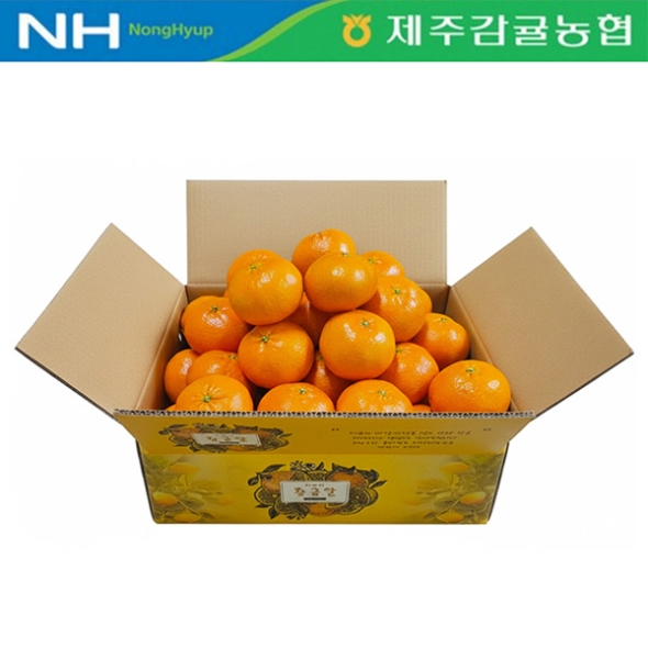 [제주감귤농협] 레드향 [2.5kg-4kg]