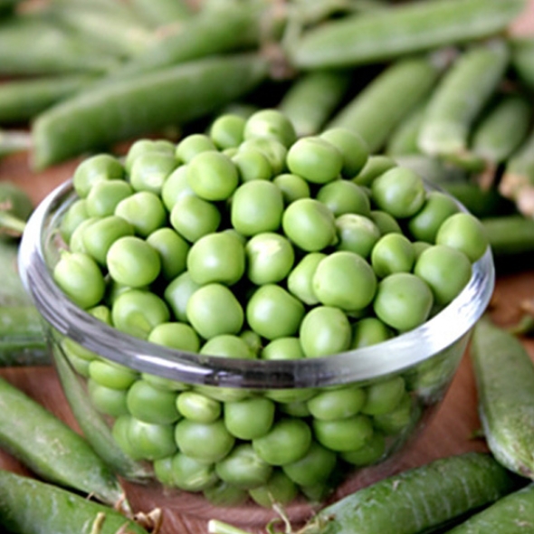 [자연속애] 껍질째 그대로 신선 햇 완두콩 1kg/2kg/3kg/4kg/5kg