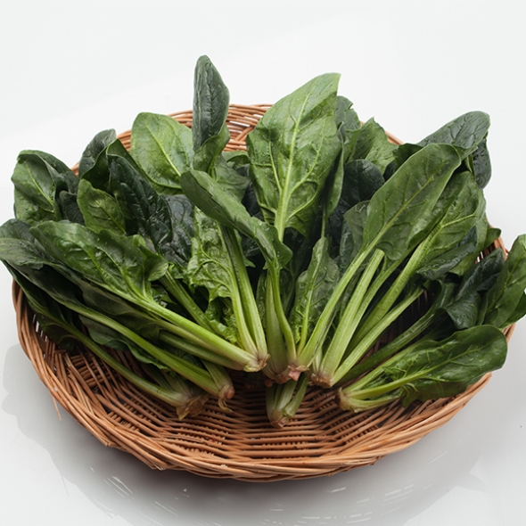 [오커최고] 해풍 시금치 남해안 섬초 500g 1kg 2kg 보물초