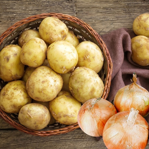 [농협] 한아름드린 감자/양파 반반혼합 3kg/6kg/10kg(특)