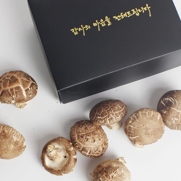 예산청년농부의 무농약 생표고버섯 선물세트 1kg / 2kg 직접재배 무농약표고버섯