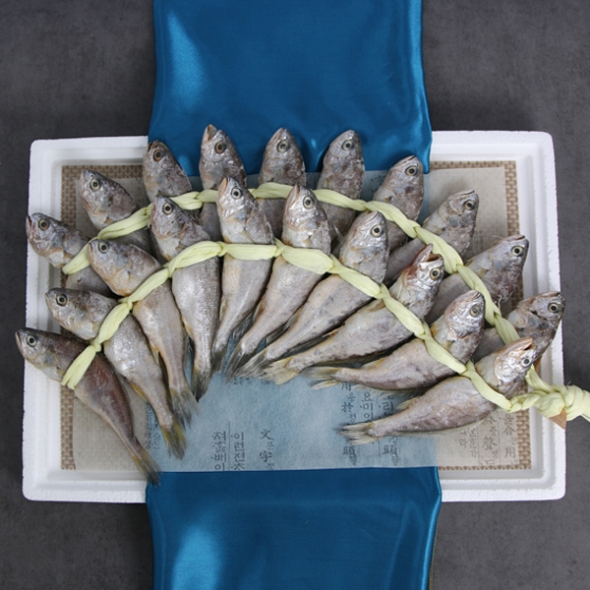 [영광굴비] 명품 영광굴비 20미 [1.4kg-2.2kg] 