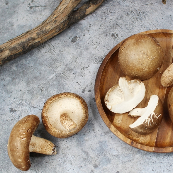 예산청년농부의 국내산 무농약 생표고버섯 1kg