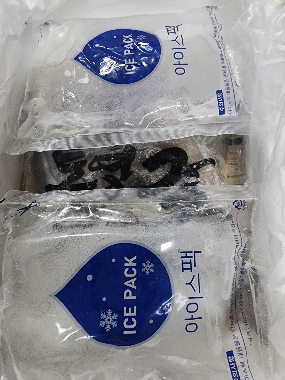 [水] 이순신수산 국내산 신진도 내장가득 통오징어 중 800g 대 1kg 조업당일 급속냉동