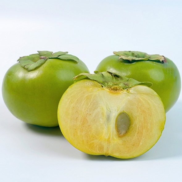 [오커최고] 태추단감 초록 단감 1~4kg 최고