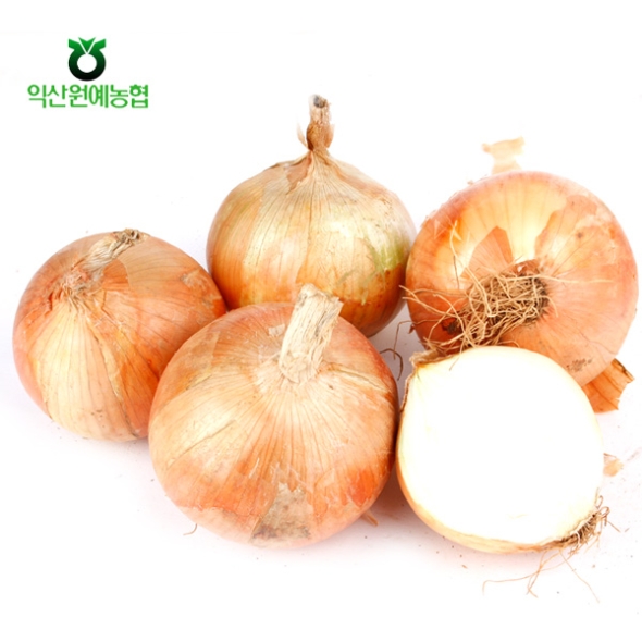 [농협공판장] 정성드린 양파 3kg/5kg(특)