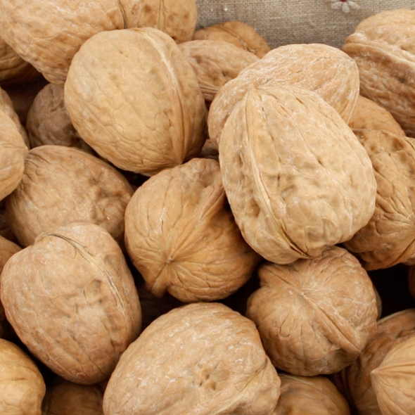 [농협공판장] 정성드린 볶음 피땅콩1kg+피호두 500g