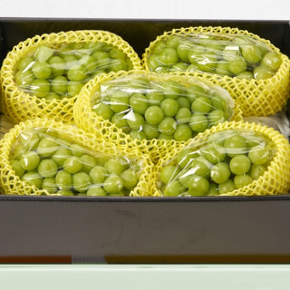 [햇살로] 프리미엄 샤인머스켓 선물세트 3kg(4송이) / 4kg(4~5송이)